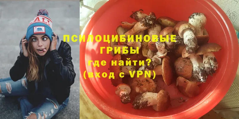 omg ТОР  сайты даркнета клад  Бокситогорск  Галлюциногенные грибы Psilocybe  купить наркотики сайты 